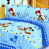 Egyptian Cotton Bedsheet Set With 2 Pillow Covers
