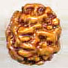 Three Mukhi Oval From Java